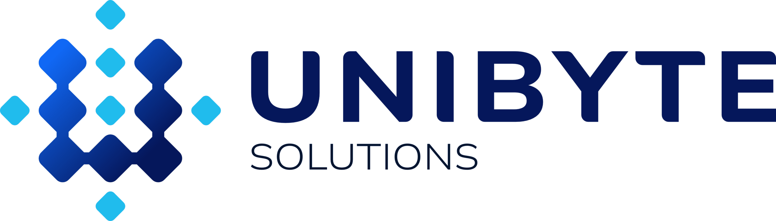Unibyte Solutions