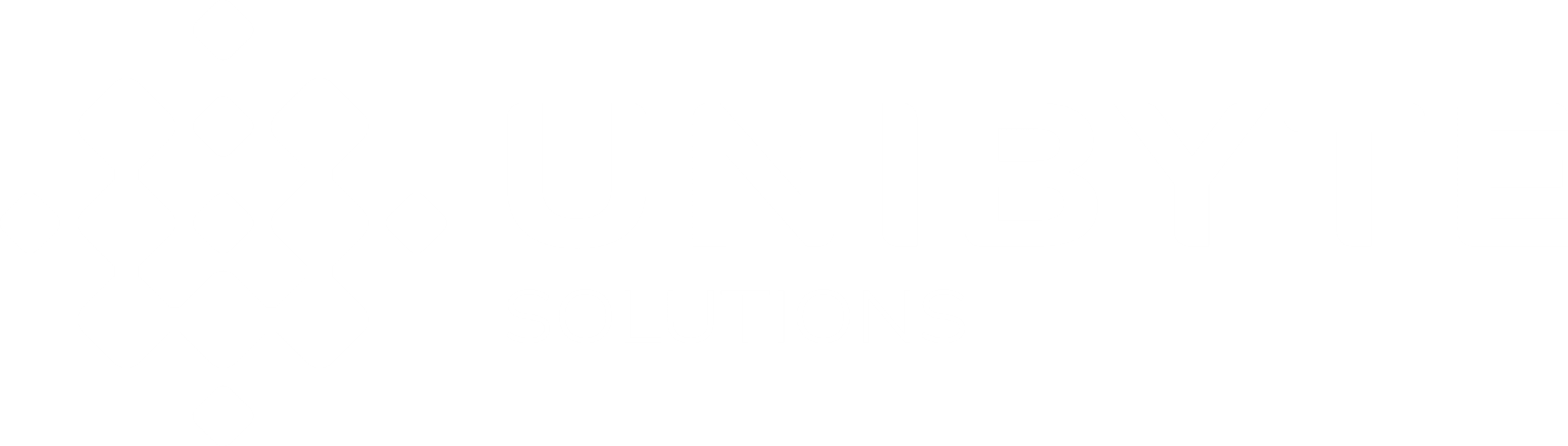 Unibyte Solutions
